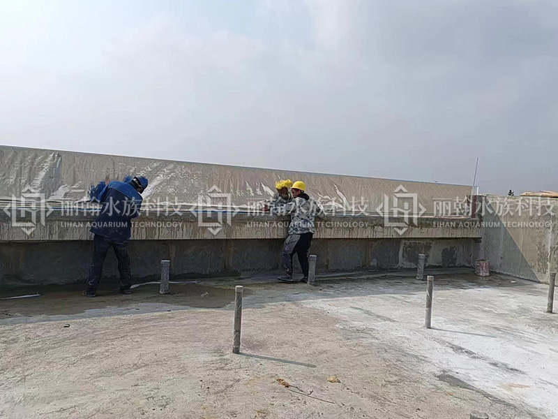 ʏ�����������b