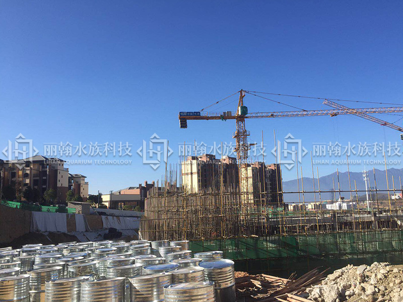 ���������^�����M(j��n)��(ch��ng)