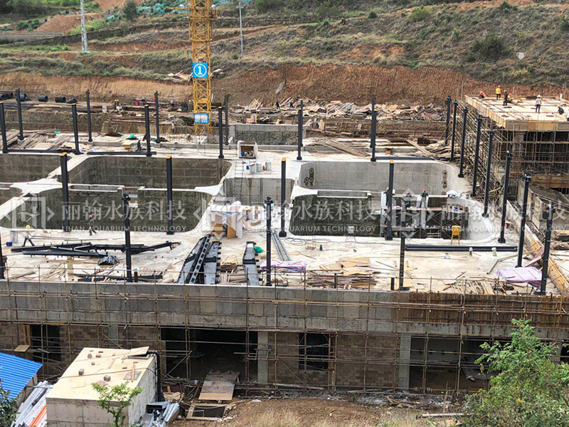 ���ɺ������^���B(y��ng)��ʩ��