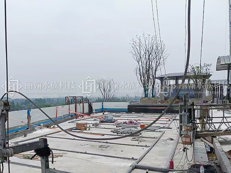 �����Ƶ�